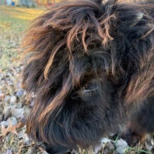 Meet your Posher, Kat